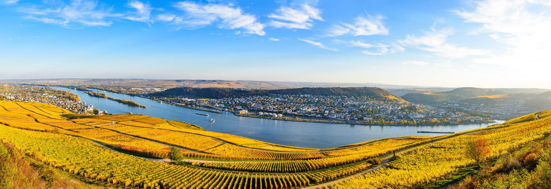 Luftbild auf dein Rhein an einem sonnigen Herbsttag inmitten von Weinbergen mit Rheingauer Riesling