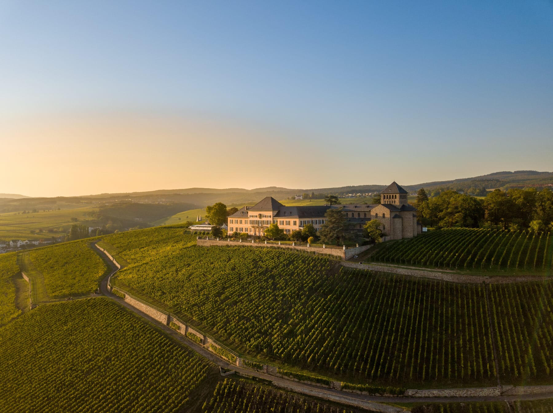 Luftbild auf das Schloss Johannisberg inmitten von Weinbergen mit Rheingauer Riesling zum Sonnenuntergang