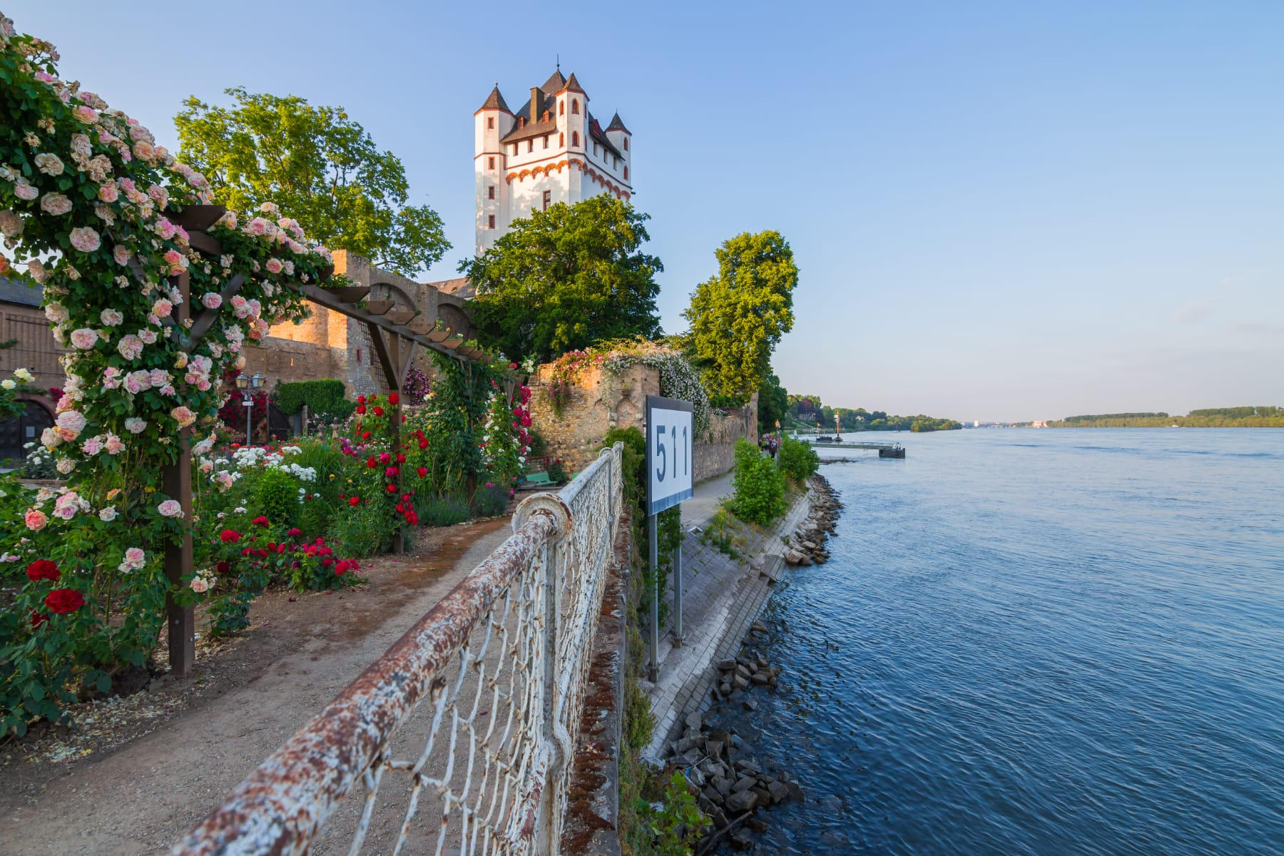 Blick auf die kurfürstliche Burg in Eltville am Rhein am Anleger 511 an einem Sommertag im Rheingau